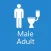 Toileting: Male