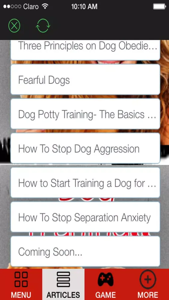 'A How to Train a Puppy and Stop Dog Barking With Great training classes and Amazing Tips স্ক্রিনশট