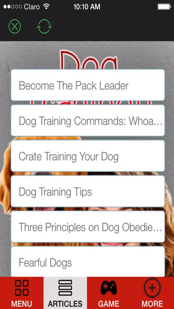 'A How to Train a Puppy and Stop Dog Barking With Great training classes and Amazing Tips স্ক্রিনশট