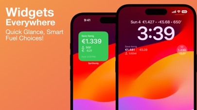 Cheap Gas Stations Spritkenig স্ক্রিনশট