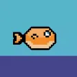 Jump Fish Jump