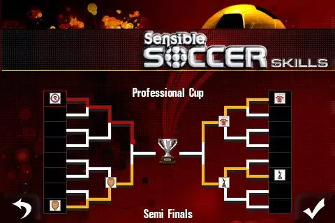 Sensible Soccer Skills应用截图