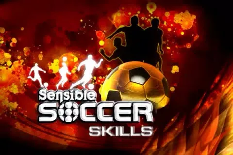 Sensible Soccer Skills应用截图