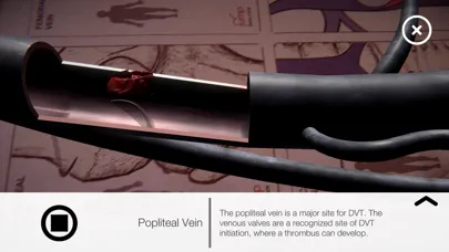 AR Anatomy by Jump Simulation スクリーンショット