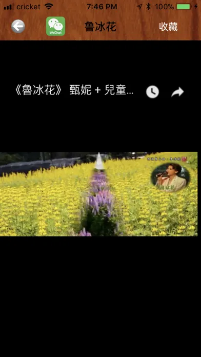 岁月如歌 स्क्रीनशॉट