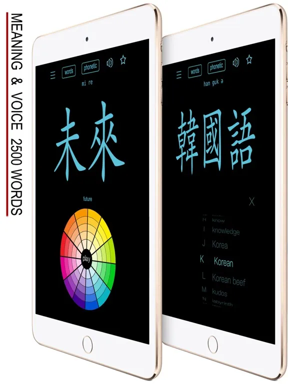 صور Korean Hanja Handwriting ! iPad 