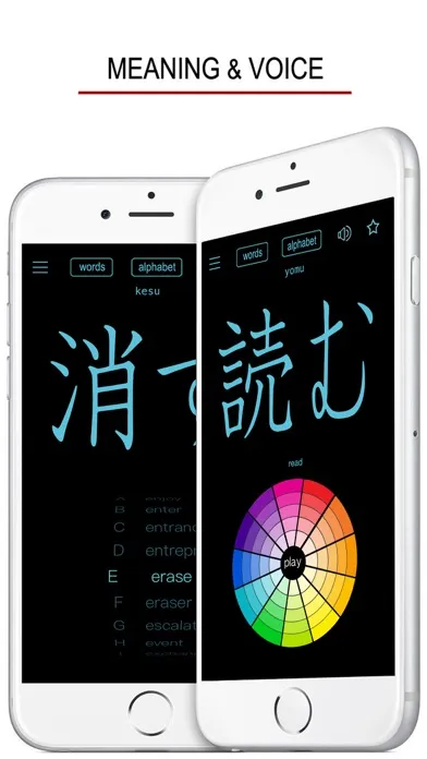 Japanese Words & Writing Screenshots