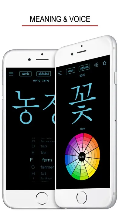ภาพหน้าจอของ Korean Words & Writing