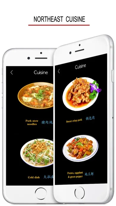 Capturas de pantalla de Northeastern Chinese Dialect