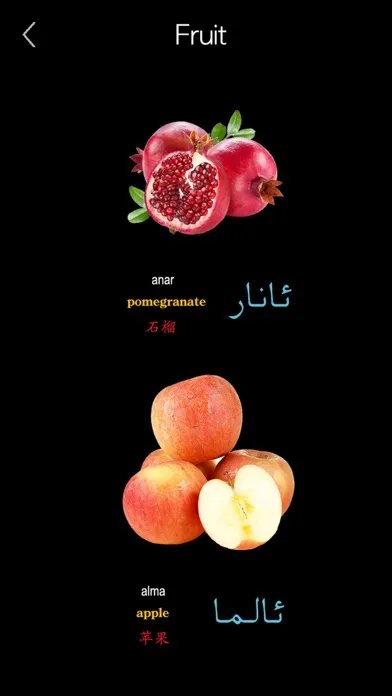 Captures d'écran de Learn Uyghur Handwriting !
