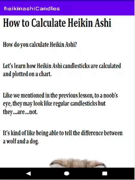 Heikin Ashi Chart Reading Screenshots