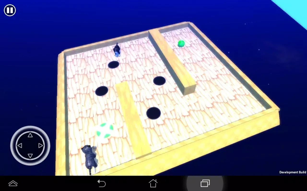 Screenshot di Tiger's Maze