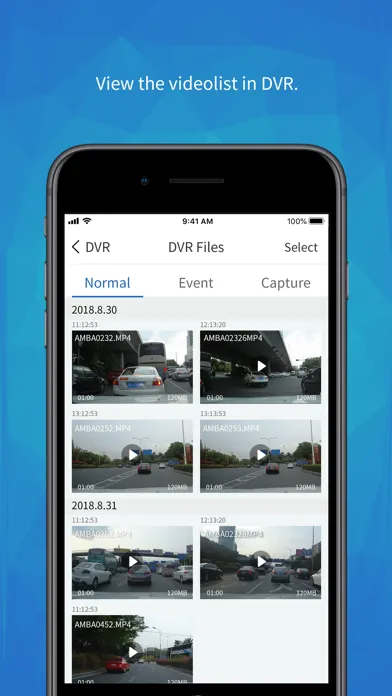 Zrzuty ekranu DV Show - For wifi DVR