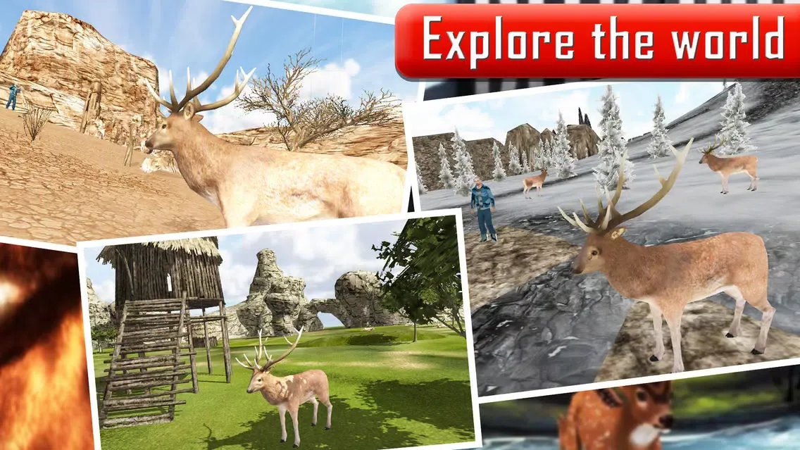 تصاویر Jungle Safari Deer Hunting Edition