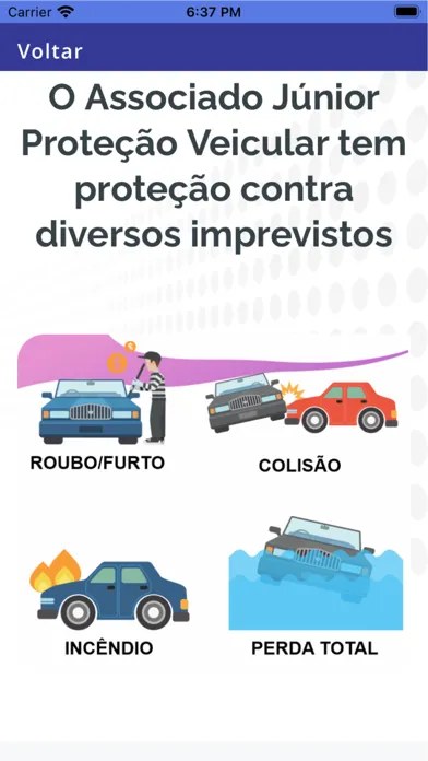 Tangkapan skrin Parceiro Junior Clube Veiculos