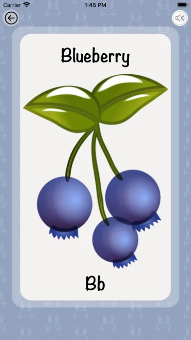 صور Flash Cards Learning Game