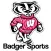 Badger Sports