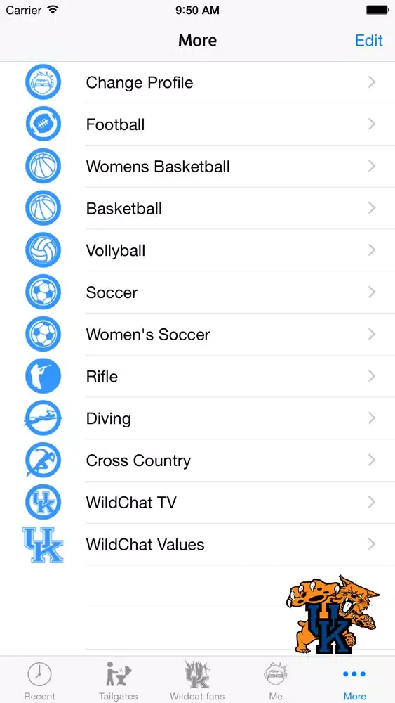 WildChat Screenshots