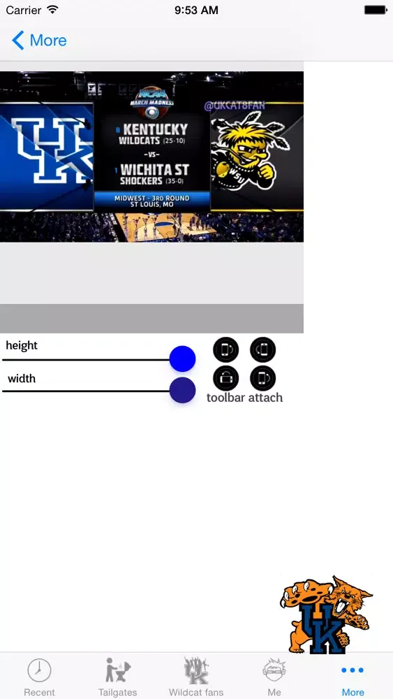 WildChat Screenshots