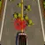 Zombie Splash 3D: Action game