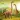 Brachiosaurus Simulator