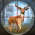 Wild Animal Shooting Games