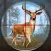 Wild Animal Shooting Games