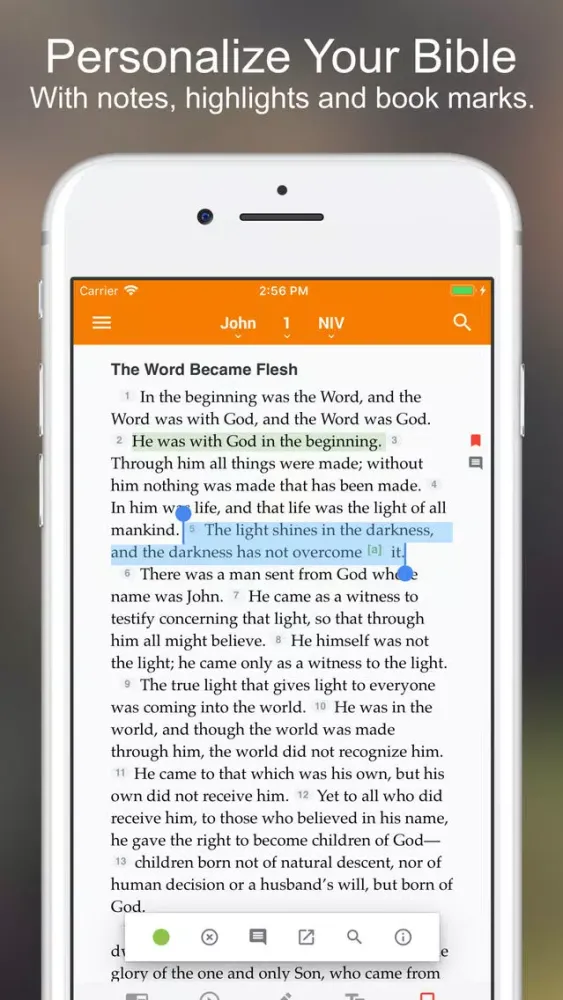 Amplified Bible Screenshots