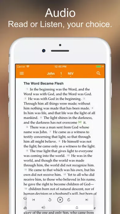 Tangkapan skrin Bible +1