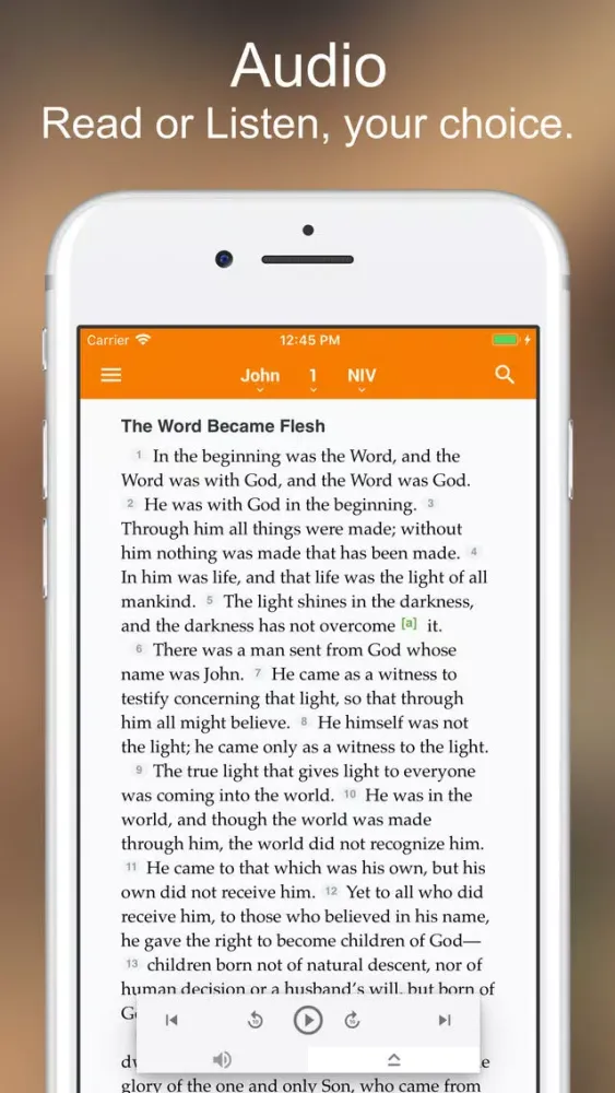 Captures d'écran de The Message Bible