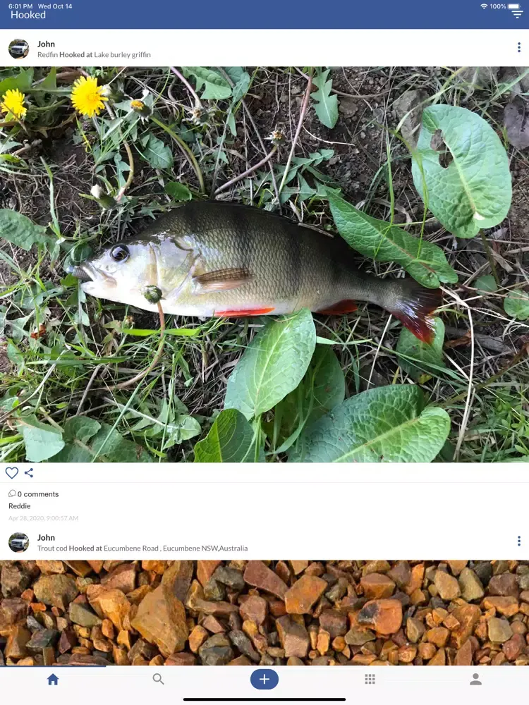 Zrzuty ekranu Hooked Fishing iPad