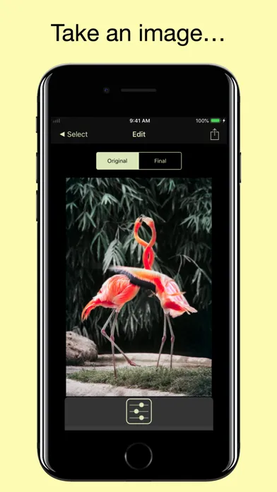 Flood - Photo Effect 스크린샷