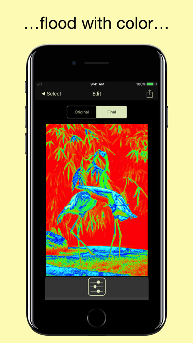 Capturas de pantalla de Flood - Photo Effect