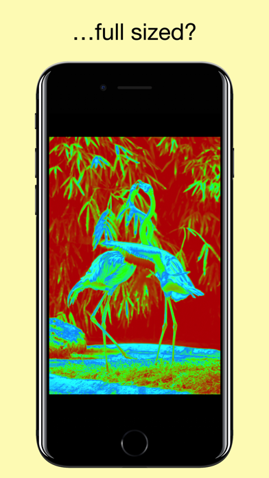 Capturas de pantalla de Flood - Photo Effect