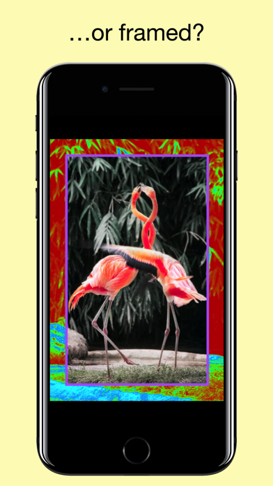 Capturas de pantalla de Flood - Photo Effect