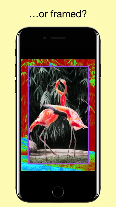 Flood - Photo Effect 스크린샷