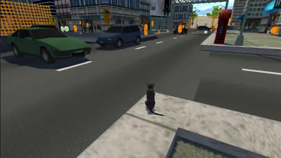 صور Real Cat Simulator : Free Roam