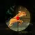 Target Safari Deer Hunter 3D 2016