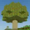 World Of Craft: Build