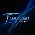 Team G Force