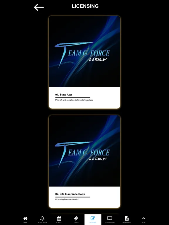 Zrzuty ekranu Team G Force iPad 