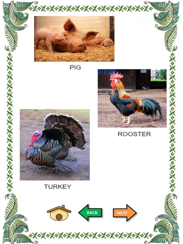 صور Wild animal sounds with name iPad 