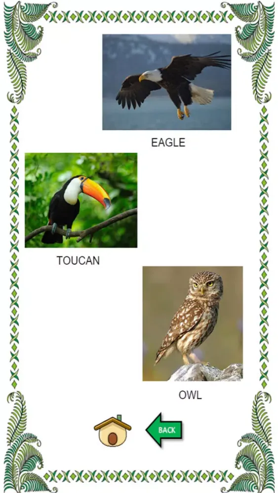 صور Wild animal sounds with name