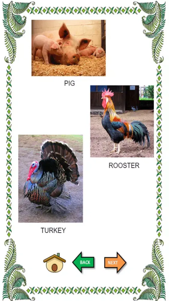 صور Wild animal sounds with name