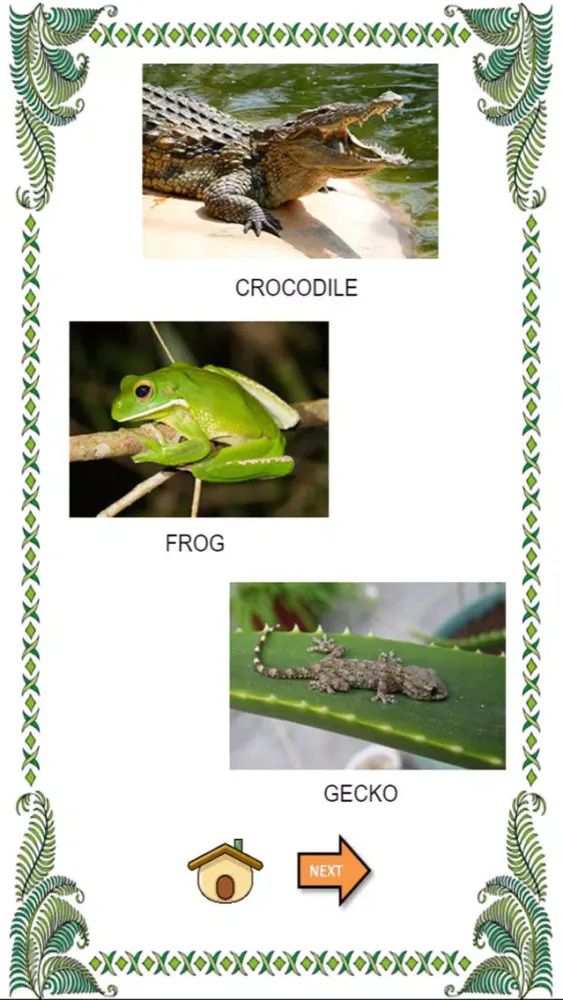 صور Wild animal sounds with name