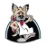 K9 Kuts and Kennels