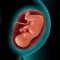 Astha Pregnancy