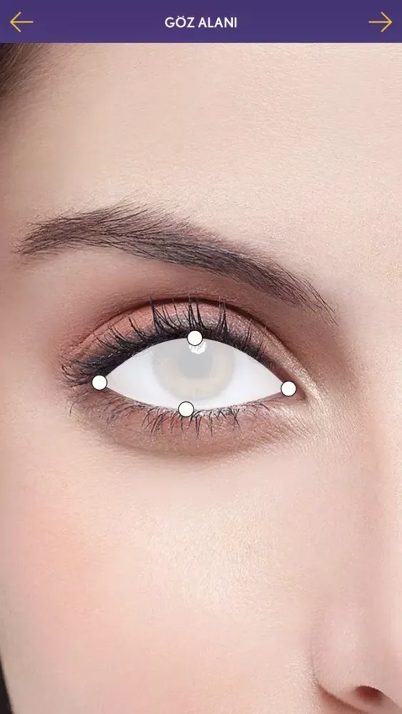 ภาพหน้าจอของ Renkli Lens