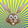 Bunny Egg Hunt