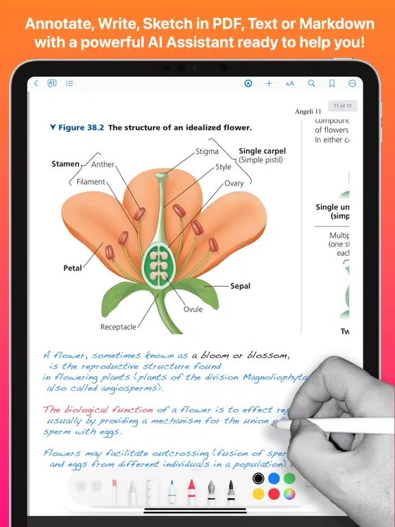 Ảnh chụp màn hình của AI Notes - Smart PDF & Words iPad 